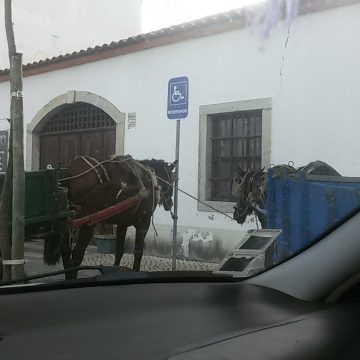Carroça apanhada em lugar para deficientes