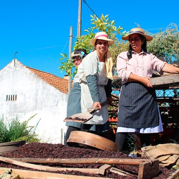 Festa das Vindimas em Fazendas de Almeirim (c/ vídeo e fotos)