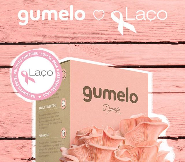 Empresa de Almeirim associa-se ao combate contra o cancro da mama