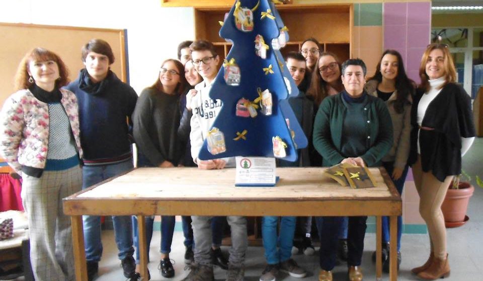 Árvores começam a ficar prontas