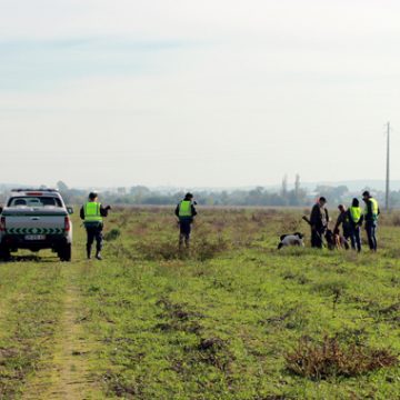 GNR fiscaliza caçadores no concelho de Almeirim (VIDEO)