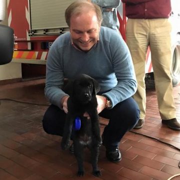 Pedro Ribeiro recebe cadela. Animal já tem nome Pedro Ribeiro recebe cadela. Animal já tem nome