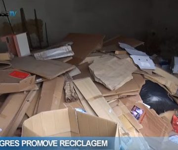 Tigres recolhe um tonelada de papel (c/vídeo)