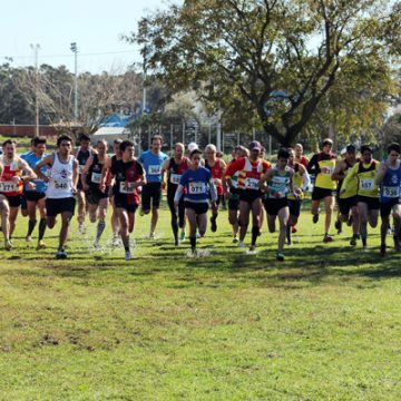 Almeirim recebe Campeonato Regional de Corta Mato. Conheça resultados Almeirim recebe Campeonato Regional de Corta Mato. Conheça resultados