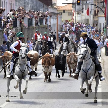 Fados e Toiros em destaque na festa rainha da Chamusca
