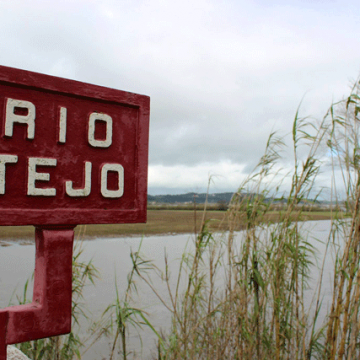 Proteção Civil alerta para cheias no Rio Tejo