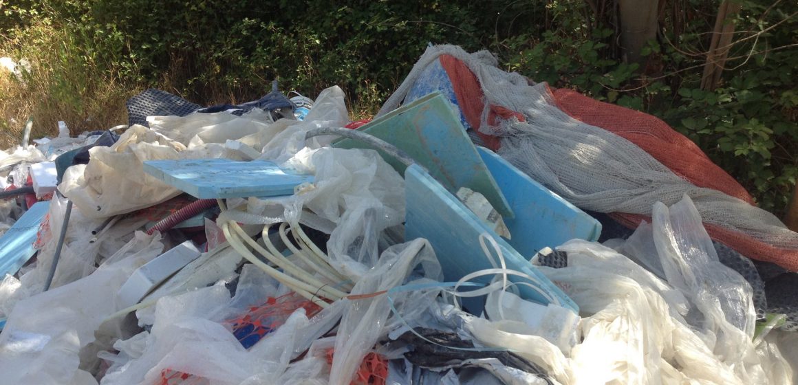 Crime ambiental em Almeirim Crime ambiental em Almeirim