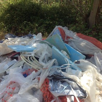 Crime ambiental em Almeirim