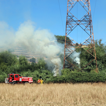 Fogo coloca exploração agrícola em risco (c/vídeo)
