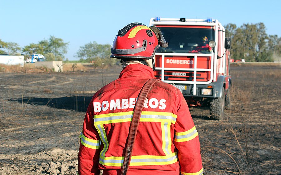 Procuram-se bombeiros em Almeirim Procuram-se bombeiros em Almeirim