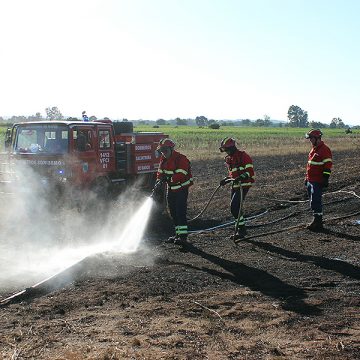 Bombeiros Voluntários de Almeirim em Pedrogão Grande