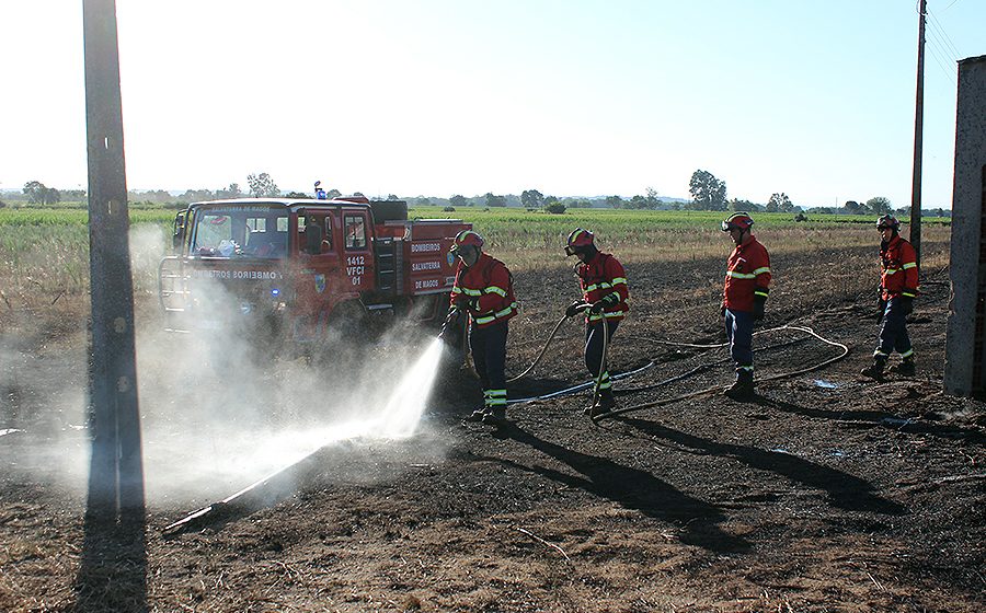 Bombeiros Voluntários de Almeirim em Pedrogão Grande