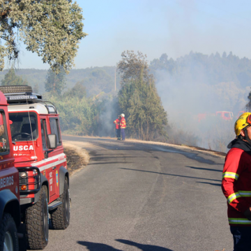 Incêndio no Casalinho mobiliza vários meios (c/vídeo)