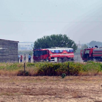Incêndio agrícola em Alpiarça Incêndio agrícola em Alpiarça
