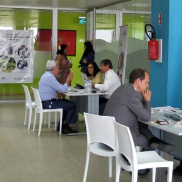 Empresários ribatejanos procuram novos negócios em Moçambique Empresários ribatejanos procuram novos negócios em Moçambique