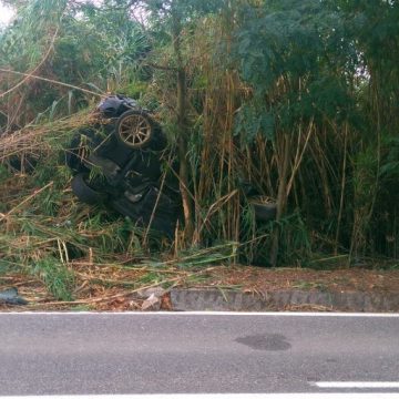 Despiste na estrada do campo provoca ferido grave