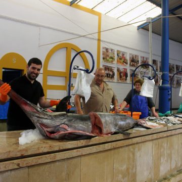 Vendedor de Peixe “abre” oito bancas no Mercado Municipal (c/vídeo)