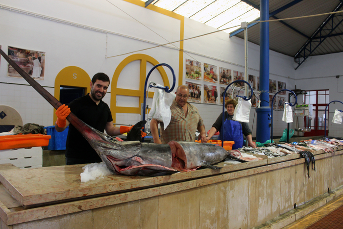 Vendedor de Peixe “abre” oito bancas no Mercado Municipal (c/vídeo) Vendedor de Peixe “abre” oito bancas no Mercado Municipal (c/vídeo)