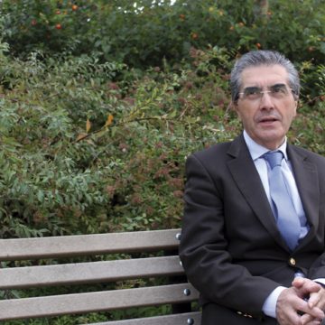 “Gostava que me tivessem atribuído pelouros”