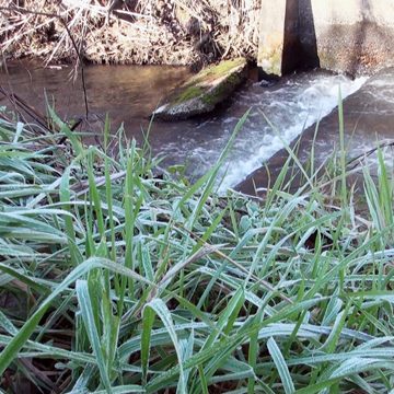 Frio Polar atingiu concelho de Almeirim (vídeo)
