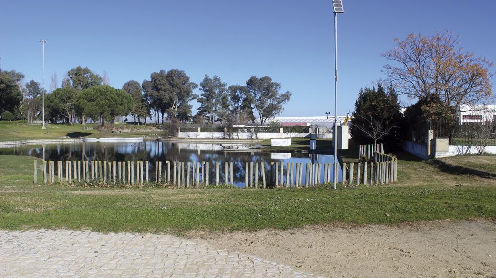 Contrastes – Piscinas de Almeirim