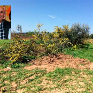 Homicida de professor de Fazendas de Almeirim condenado a 24 anos