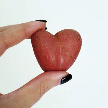 Minha máquina 15 de fevereiro