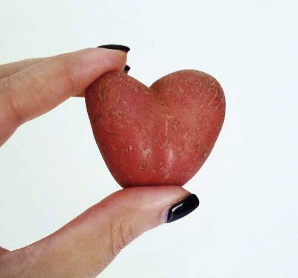 Minha máquina 15 de fevereiro