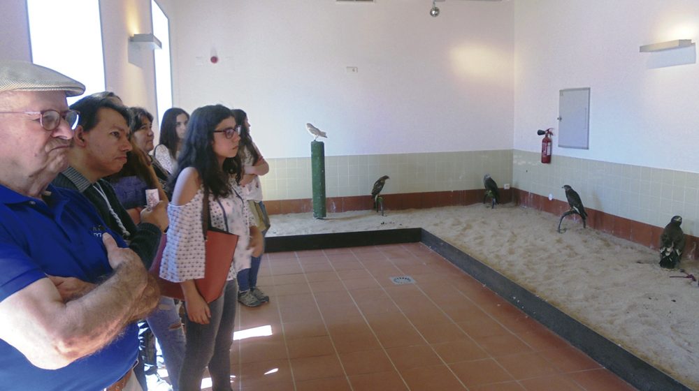 Lar de São José viajou no tempo “Entre o Campo e o Rio”