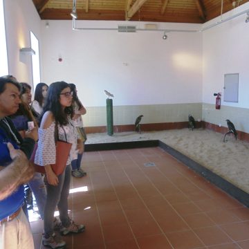 Lar de São José viajou no tempo “Entre o Campo e o Rio”