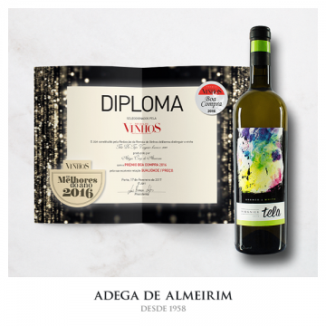 “Tela” premiado
