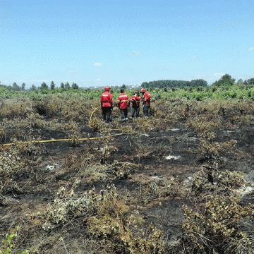 Incêndio consome terreno no Casal Velho Incêndio consome terreno no Casal Velho