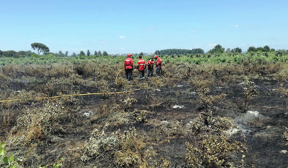 Incêndio consome terreno no Casal Velho Incêndio consome terreno no Casal Velho