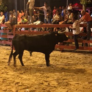 Picarias arrancam com centenas