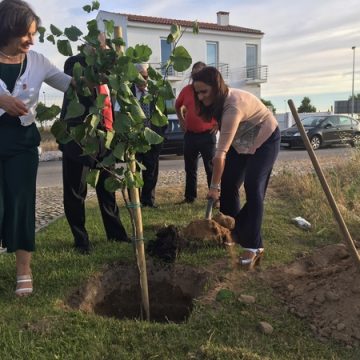 Maria do Rosário Salavessa assume funções no  Rotary Club de Almeirim