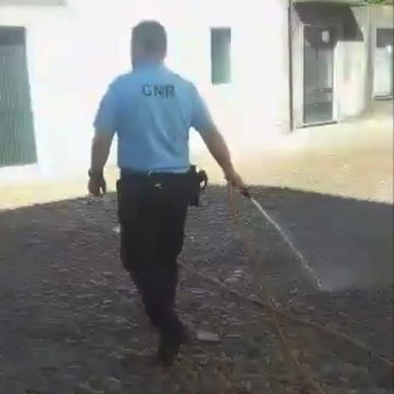 GNR presta socorro a cão numa varanda (c/vídeo)