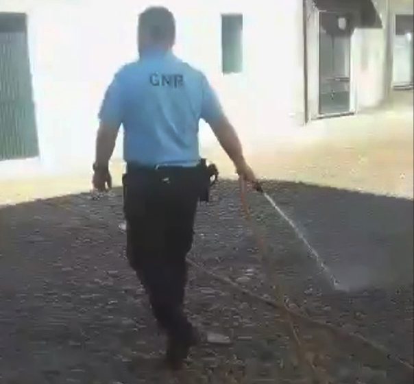 GNR presta socorro a cão numa varanda (c/vídeo)