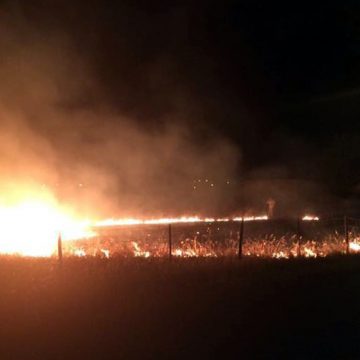 Fogo em Fazendas de Almeirim combatido por habitantes