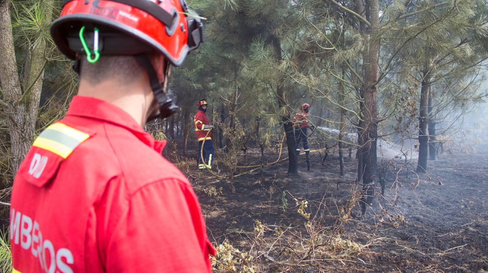 Incêndio em Foros de Benfica apesar da chuva e trovoada Incêndio em Foros de Benfica apesar da chuva e trovoada