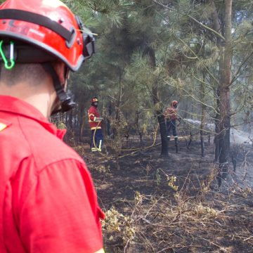 Incêndio em Foros de Benfica apesar da chuva e trovoada