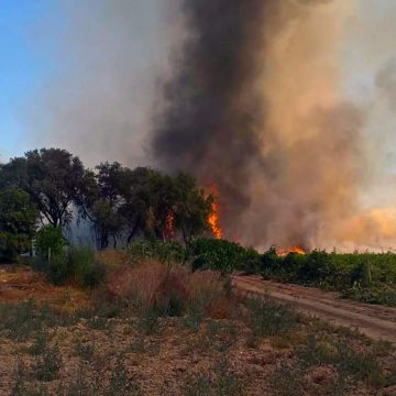 Incêndio em Foros de Benfica colocou casas em perigo Incêndio em Foros de Benfica colocou casas em perigo