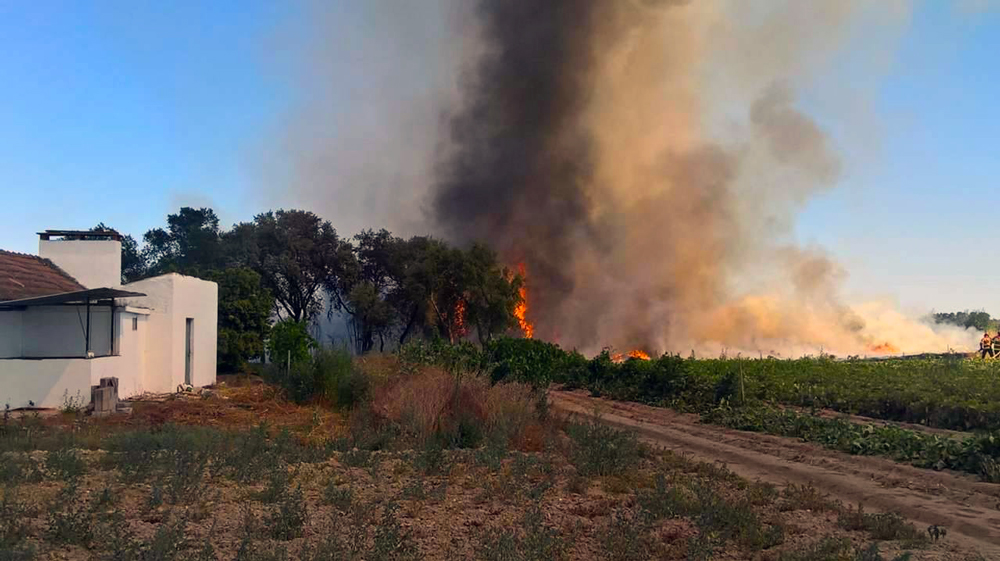 Incêndio em Foros de Benfica colocou casas em perigo Incêndio em Foros de Benfica colocou casas em perigo