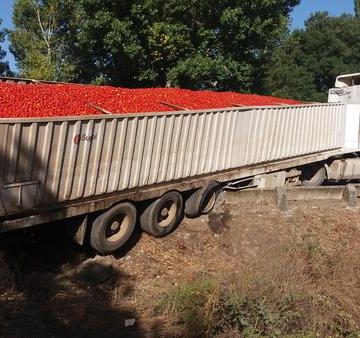Trânsito reaberto entre Almeirim e Tapada