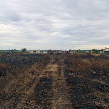 Incêndio consome mato perto da A13 Incêndio consome mato perto da A13