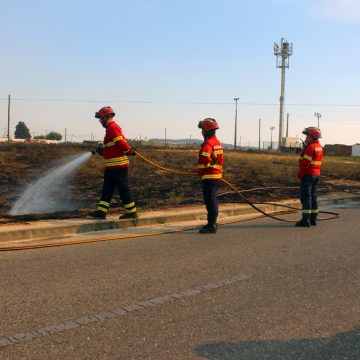 Terreno baldio junto ao cemitério de Fazendas de Almeirim arde pela terceira vez