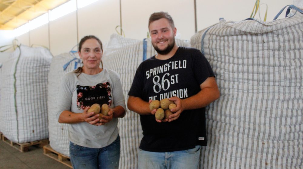 Produtor de Almeirim sediado em Alpiarça doa 15 toneladas de batatas