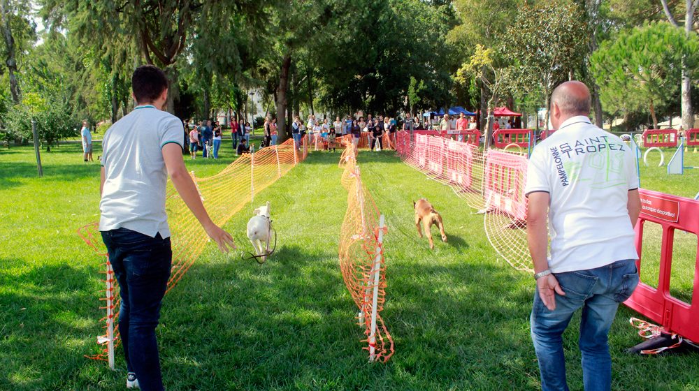 Dia do Cão junta dezenas de pessoas no Parque da Zona Norte