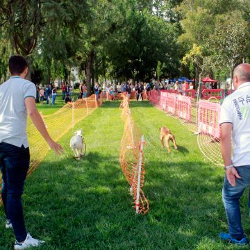 Dia do Cão junta dezenas de pessoas no Parque da Zona Norte Dia do Cão junta dezenas de pessoas no Parque da Zona Norte