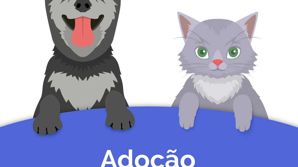 Gata desapareceu em Almeirim