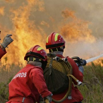 Rotary Club de Almeirim recolhe bens para ajudar vítimas dos fogos
